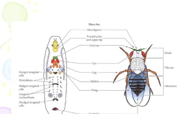 《奶块生物大全》（玩转新鲜好玩的生物游戏，认识你从未见过的生物）