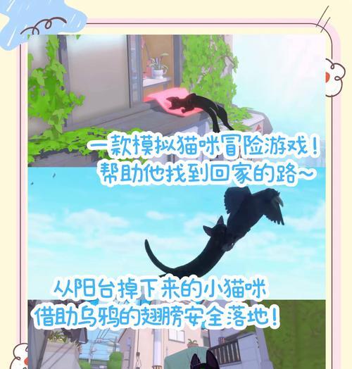《打造最佳猫咪餐厅2攻略》（全面攻略指南，助你成为最顶尖的猫咪餐厅经营者！）