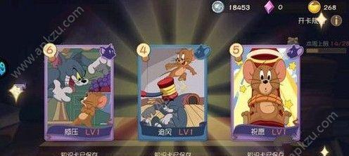 婉君喂猫攻略（用游戏方式让你成为猫咪的最佳伙伴）