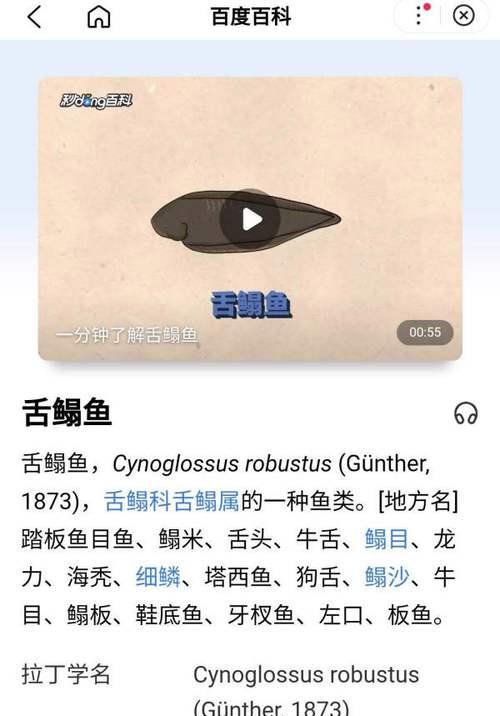 《原神战斗心海攻略》（深入解析原神中的心海挑战，帮助玩家提升战斗技巧与经验）