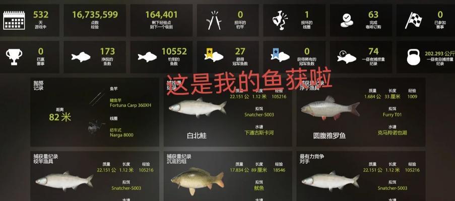 探索俄罗斯游戏回忆攻略的世界（穿越时空探寻俄罗斯游戏的记忆之旅）