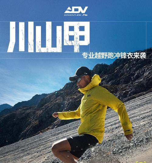 穿山甲钻洞游戏攻略（用这些关键技巧，成为穿山甲钻洞游戏的冠军吧！）